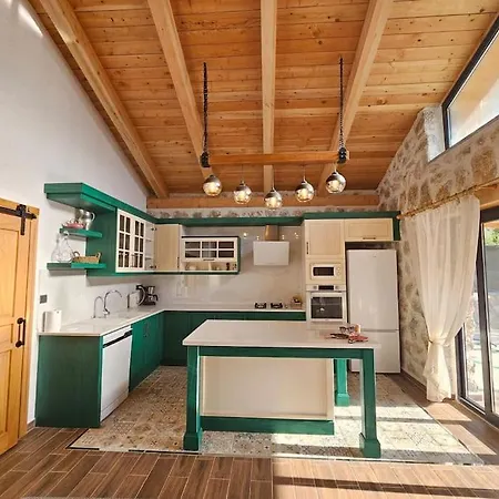 Villa Sarnic *