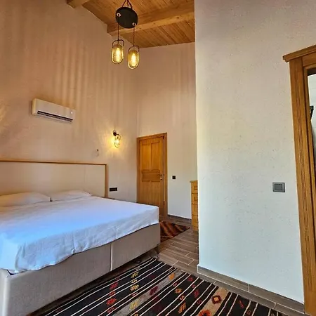 Villa Sarnic *